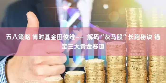 五八策略 博时基金田俊维——  解码“灰马股”长跑秘诀 锚定三大黄金赛道