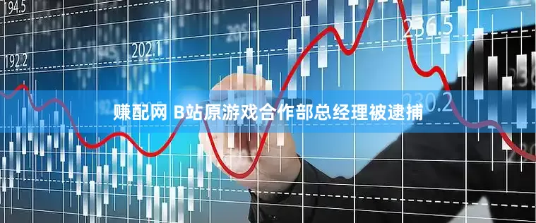 赚配网 B站原游戏合作部总经理被逮捕